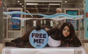 PETA stunt displays ‘trapped orca’ in busy shopping street to protest animal abuse in leisure tourism